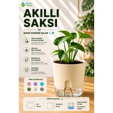 Plant-Home Akıllı Saksı Kendini Sulayan Saksı Otomatik Sulama Sistemli Su Hazneli Dekoratif Saksı 2 Litre