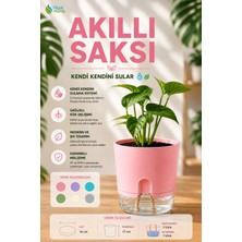 Plant-Home Akıllı Saksı Kendini Sulayan Saksı Otomatik Sulama Sistemli Su Hazneli Dekoratif Saksı 2 Litre