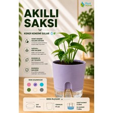 Plant-Home Akıllı Saksı Kendini Sulayan Saksı Otomatik Sulama Sistemli Su Hazneli Dekoratif Saksı 2 Litre
