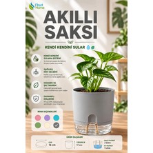 Plant-Home Akıllı Saksı Kendini Sulayan Saksı Otomatik Sulama Sistemli Su Hazneli Dekoratif Saksı 2 Litre