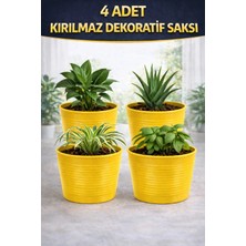 Plant-Home 4 Adet Kırılmaz Dekoratif Saksı| 15 cm Üretim Saksısı Uyumlu| Tabaksız Kullanım