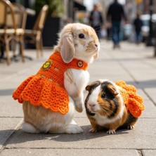 Lady Fify Tavşan ve Ginepig Için Güneşli Turuncu Elbise