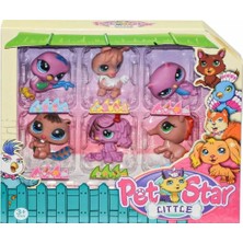 Happy Time Kzl Pet Star Little 3046A4 Miniş Kutulu 6 Lı 3+