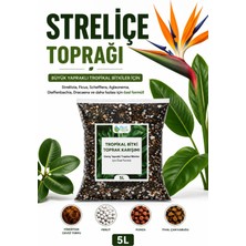 Plant-Home Straliçe (Cennet Kuşu Toprağı 5 L – Ficus, Schefflera, Aglaonema, Dieffenbachia, Dracaena ve Büyük Yapraklı Tropikal Bitkiler Için Premium Hazır Toprak Karışımı