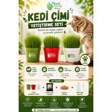 Plant-Home Kedi Çimi Yetiştirme Seti – Doğal, Sağlıklı ve Pratik Evde Kedi Çimi Kit (Plant Home)