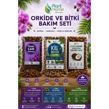 Plant Home Power Mix Ithal Çam Kabuğu, Kil Bilyesi ve Coco Husk Içeren Profesyonel Orkide Toprağı Değişim Seti