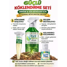 Plant Home Power Mix Orkide ve Süs Bitkileri Için Güçlü Köklendirme Seti | Hızlı Kök Gelişimi & 3’lü Set