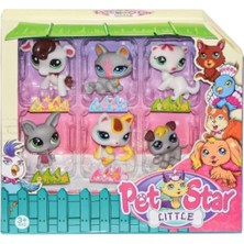 Happy Time Kzl Pet Star Little 3046A3 Miniş Kutulu 6 Lı 3+