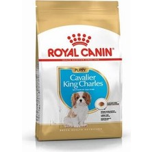 HemenGo BZS7896 Cavalier King Charles Puppy Yavru Köpek Maması 1,5 kg HMNG8632
