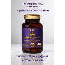 O2U Enerji, Odak ve Bağırsak Desteği | Yorgunluk & Zihin Sisi İçin Lipozomal 30 Dilaltı Tablet | Prime Element