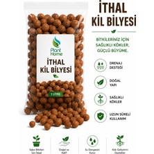Plant Home Power Mix Ithal Kil Bilyesi