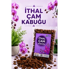 Plant Home Power Mix Hollanda Ithal Çam Kabuğu Orkide Toğrağı 1lt