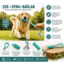 Köpek Fitil Gezdirme Tasması – Dayanıklı Örgü İpli Köpek Gezdirme Kayışı 8mm x 120 cm