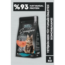 Signature Somonlu Yetişkin Kedi Tüy Yumağı Önleyici  2 kg