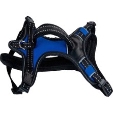 Orijin Pet Köpekler Için Göğüs Tasması Xs 40-45 cm