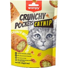Wanpy Crunch Kedi Ödülü Catnipli Tavuklu 60 gr