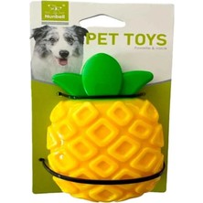 Nunbell Nunbel Köpek Oyuncağı Plastik Ananas Aromalı