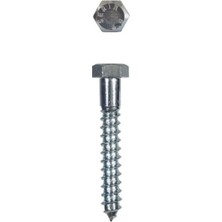 Timion Mey Ithalat® Trifon Vida 8X100 mm (5 Adet)