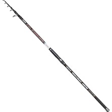 Ryuji Bosphorus 4.20M, 100-300GR, Tele Surf Kamış