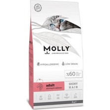 Molly Yetişkin Kedi Maması 2 kg Somon ve Karidesli İçerik ile Parlak Tüyler İçin Özel Formül