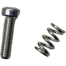 Briggs & Stratton Ayar Vidası 495800