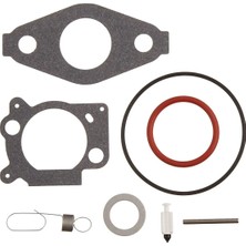 Briggs & Stratton Karbüratör Tamir Takımı 793622