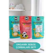 Beyorganik Organik Sebze Çorbaları Paketi 3'lü (PESTİSİT VE AFLATOKSİN ANALİZLİ)