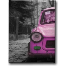 Pembe Araba Dekoratif Kanvas Duvar Tablosu