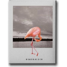 Flamingo Dekoratif Kanvas Duvar Tablosu