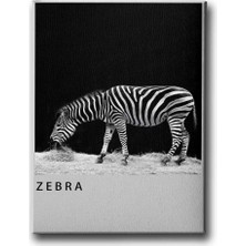 Zebra Dekoratif Kanvas Duvar Tablosu