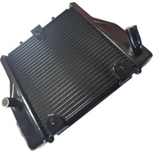 Universal Forza 250 Radyatör 2021 2024 | MOTO11