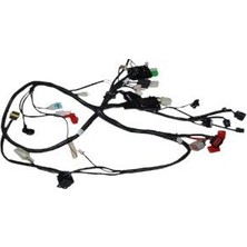 Universal Newlight 125 Elektrik Teşisatı | MOTO11