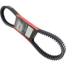 Universal Forza 250 Kayış Japon Bando 2021 22 23 2024 | MOTO11