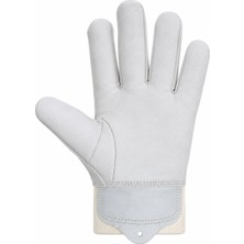 Veron Standart Arg-02 26CM Lastik Bilekli
