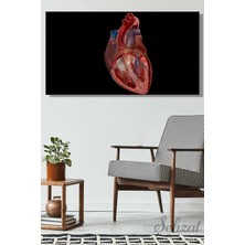 Şehzat Panoramik Yatay Kanvas Duvar Tablosu Hastane Klinik Kardiyoloji Doktor Kalp Anatomisi 3D