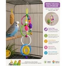 Pet Nova 4'lü Halkalı Kuş Oyuncağı