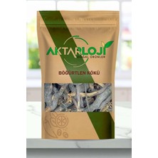 Aktarloji 250 gr Böğürtlen Kökü / Yeni Mahsül - Katkısız & Doğal