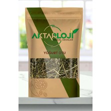 Aktarloji 150 gr Yoğurt Otu / Yoğurtotu Çayı / Yeni Mahsül - Katkısız & Doğal