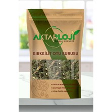 Aktarloji 500 gr Kırkkilit Otu / Kırk Kilit Çayı ( At Kuyruğu Otu ) Yeni Mahsül / Katkısız & Doğal
