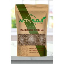 Aktarloji 50 gr Maydanoz Tohumu / Katkısız & Doğal