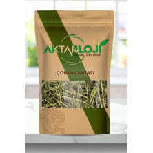 Aktarloji 100 gr Çoban Çantası Otu / Yeni Mahsül / Çoban Çantası Çayı - Katkısız & Doğal