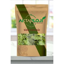 Aktarloji 250 gr Sidr Yaprağı / Arabistan Kirazı Yaprağı / Es-Sidre / Sidir Otu - Katkısız & Doğal