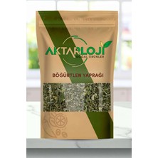 Aktarloji 25 gr Böğürtlen Yaprağı / Böğürtlen Çayı - Yeni Mahsül - Katkısız & Doğal
