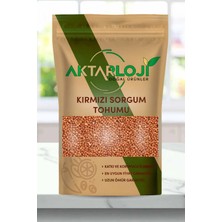 Aktarloji 100 gr Kırmızı Sorgum Tohumu - Katkısız & Doğal