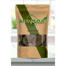 Aktarloji 50 gr Işkın Kökü ( Işgın Otu, Içkın Kökü , Uşkun, Uçkun ) - Katkısız & Doğal