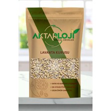 Aktarloji 1 kg Lavanta / Lavanta Çiçeği Kurusu / Yoğun Mis Kokulu / Lavanta Çayı - Katkısız & Doğal