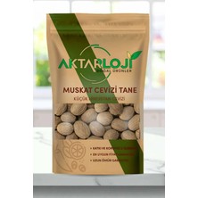 Aktarloji 10 Adet Muskat Cevizi / Küçük Hindistan Cevizi / Tane Musgat