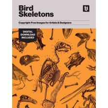 Step Kitap Bird Skeletons: Copyright-Free Images For Artists & Designers