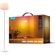 Govee Lantern Köşe Lambası 1.60CM 1000-10000 Kelvin Renk Sıcaklığı R1630C01