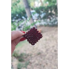 BaharEli Kare Formda 3x3 cm El Yapımı Cevşen Nazarlık / Kolye Ya Da Yaka Iğnesi